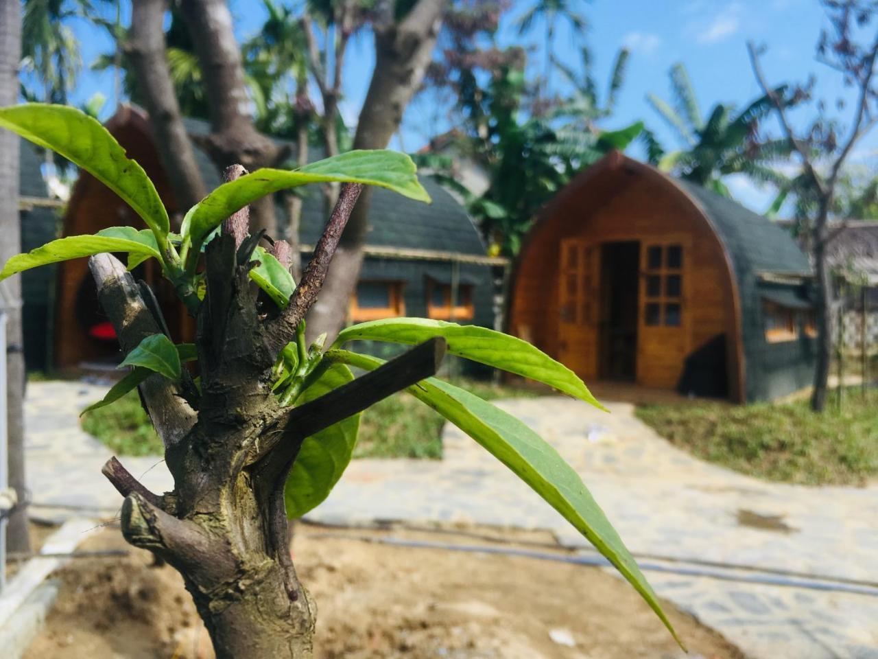 Coco-Farm Hoi An Apartment Екстериор снимка